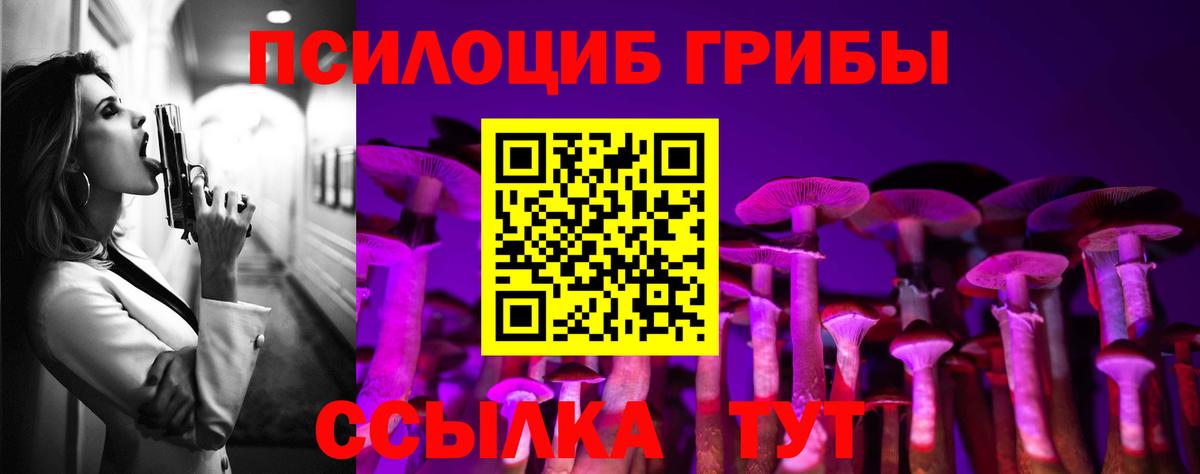 Галлюциногенные грибы Cubensis  что такое   Кольчугино  Вход с VPN  Галлюциногенные грибы Psilocybine cubensis 